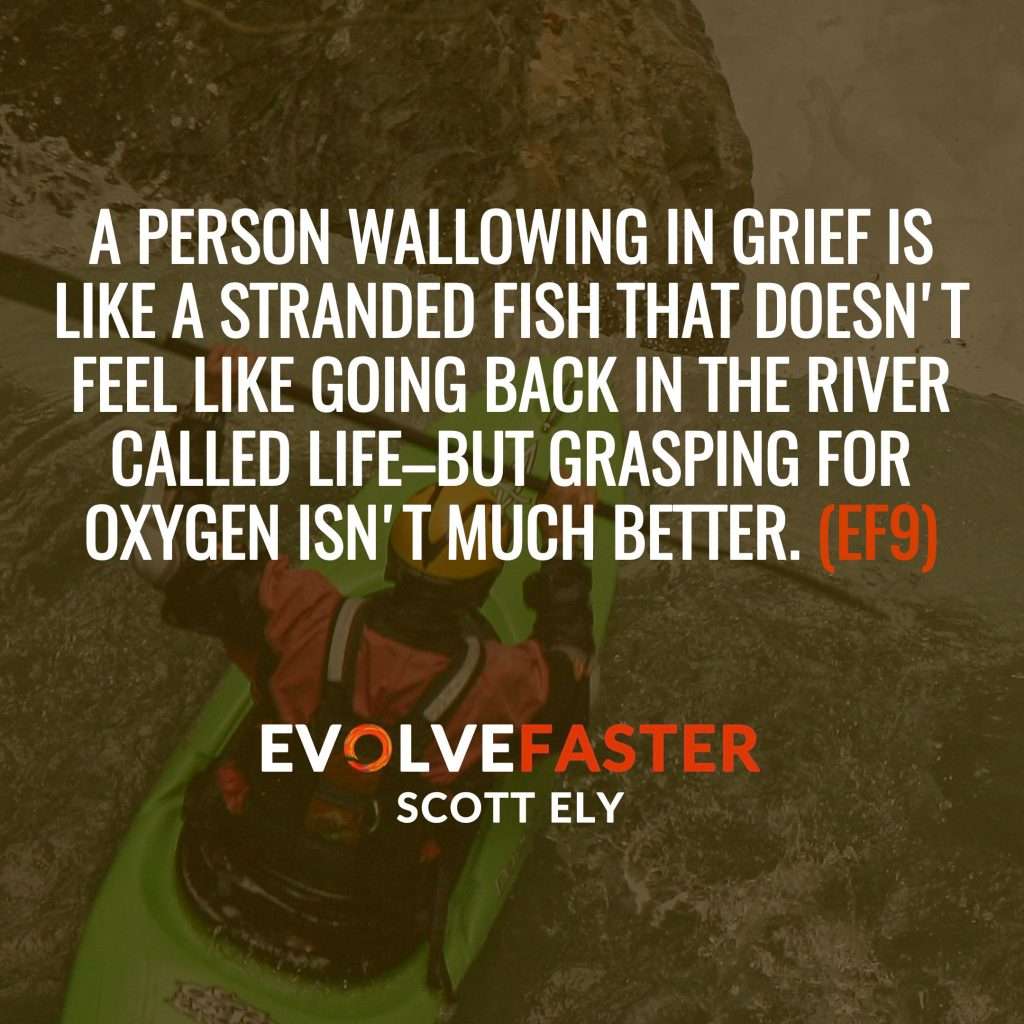 (EF9) S1-E7: I Feel Therefore I am Capsized on the River Emotion The Evolve Faster Podcast with Scott Ely Season One