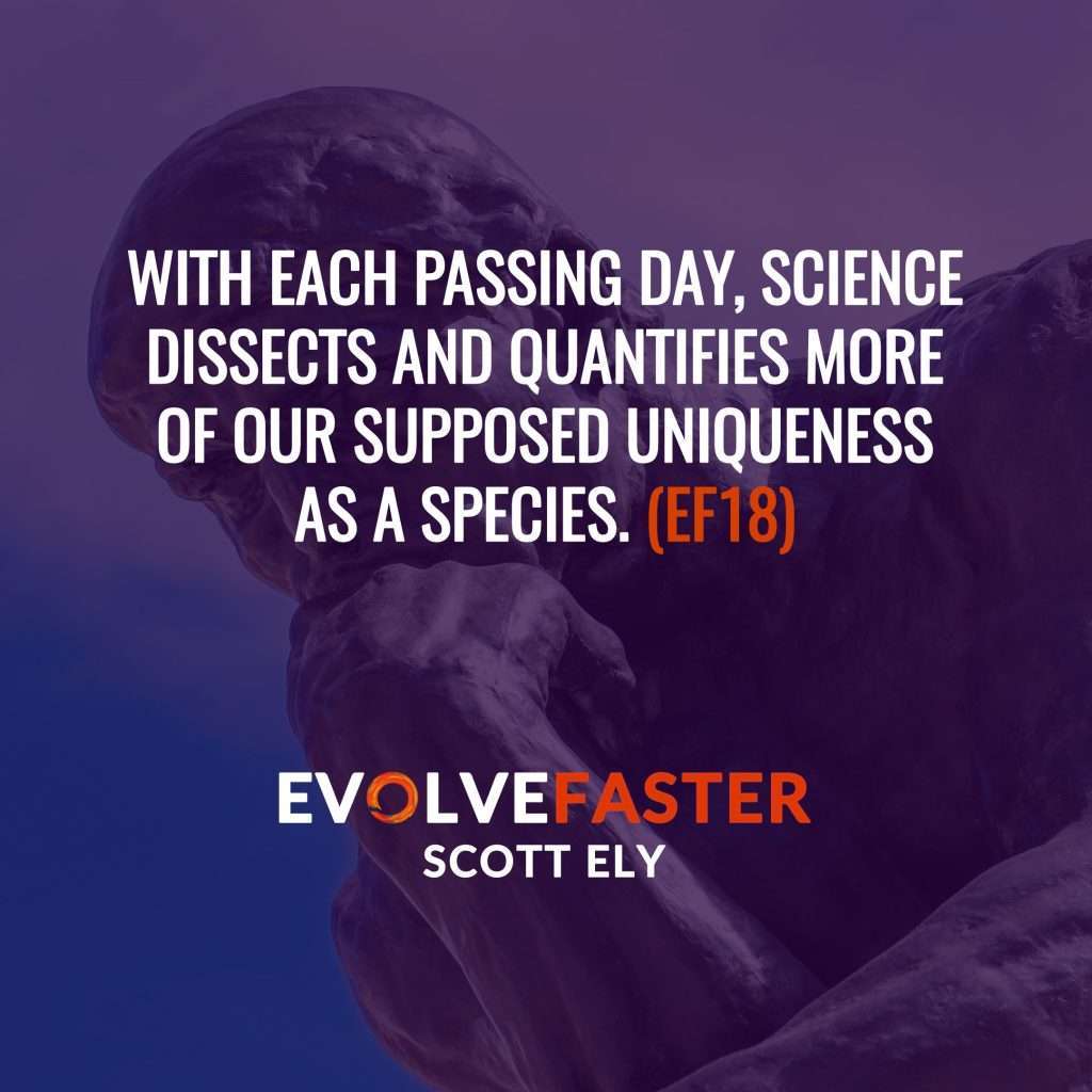 (EF18) AMA-EF3: The Mystical Allure of Converting to Buddhism and Speculating about Quantum Mechanics Ask Me Anything for Episode EF3