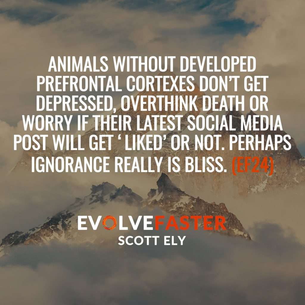 (EF24) AMA-EF6: Is Less Really More When it Comes to the Pursuit of Wisdom or is Ignorance Bliss Ask Me Anything of Episode EF6